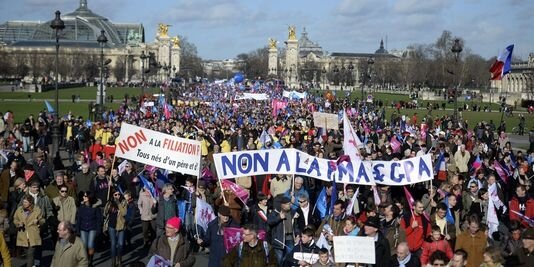 Франція-Париж; 2 лютого 2014 року; Протести